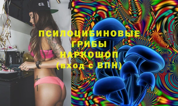 шишки Верхнеуральск